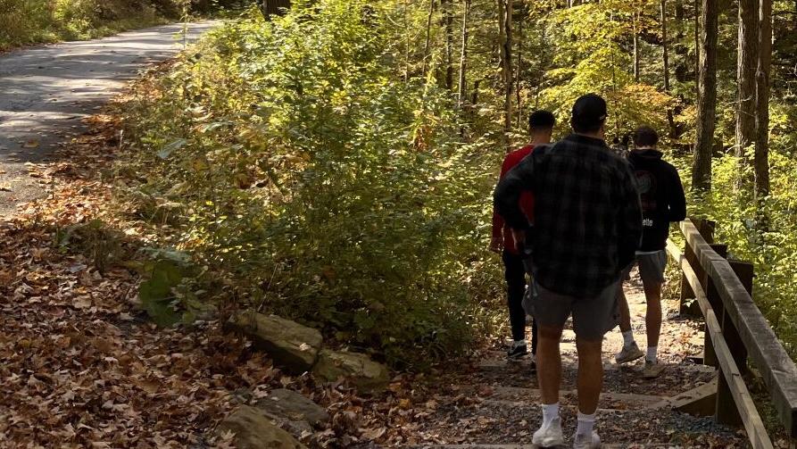 Starting The Hike